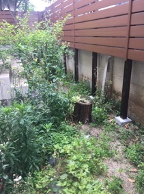 世田谷区奥沢　お庭のリフォーム前　人工芝張りでスッキリ